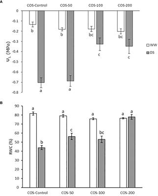 The use of chitosan oligosaccharide to improve artemisinin yield in well-watered and drought-stressed plants